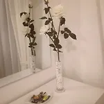 Apartman Casa Roberto Susegana