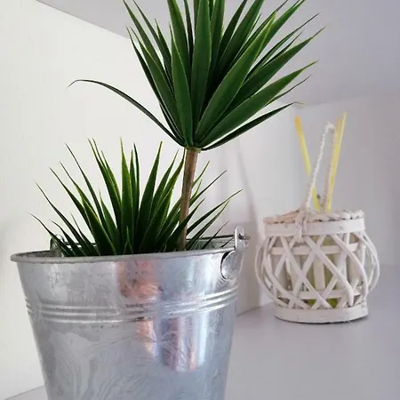 아파트 Casa Roberto 수세가나